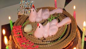 Image 05
